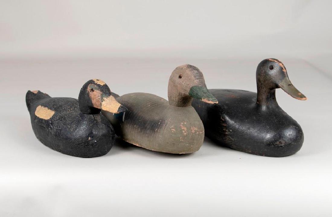 Three Working  Duck Decoys (1 of 20)