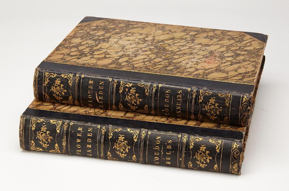 Mrs. Loudon's The Ladies Flower Garden 2 Volumes (1 of 11)