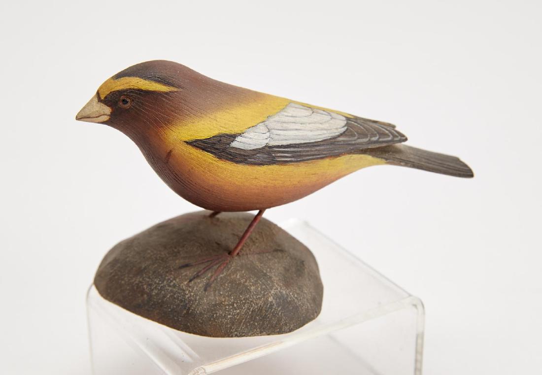 Jesse Blackstone Evening Grosbeak Carving: Jesse Blackstone Evening Grosbeak. Carved and painted wood. L 4". Fine original condition. Signed on the bottom.