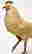 item-112711009=5