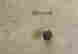 item-112711341=2