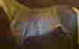 item-124492960=3