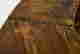 item-130083195=7