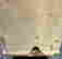 item-130083441=5