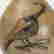 item-130083475=4