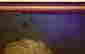 item-130094464=4