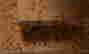 item-130094489=3