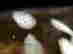 item-130094763=8