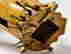 item-130094766=12