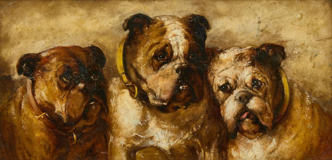 Portrait of Three Bulldogs (1 of 4)