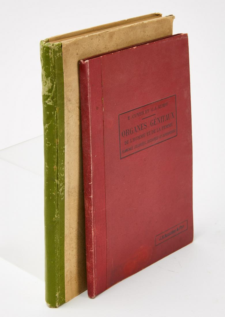 Two books on Male/Female Generative Organs, etc.: Two books on Male/Female Generative Organs 1. Cuyer and Kuhff. Organes Genitaux. Paris, ca. 1900. 64 pp H 10 3/4" W 7 1/4". Illustrated. 2 lithographs at end with overlays, some are loose, but present