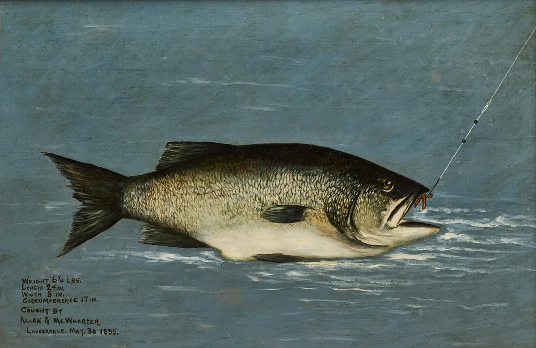 Bass Fish Painting -Florida 1895 (1 of 4)