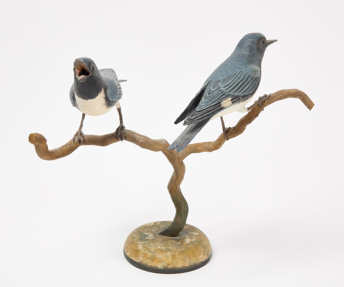 Frank Finney - Black-Throated Blue Warbler (1 of 3)