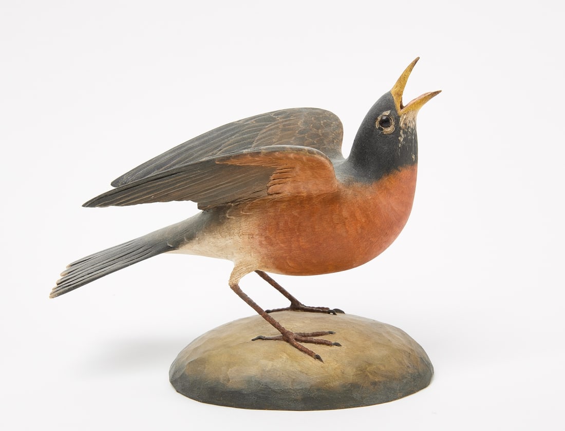 Frank Finney - American Robin (1 of 5)