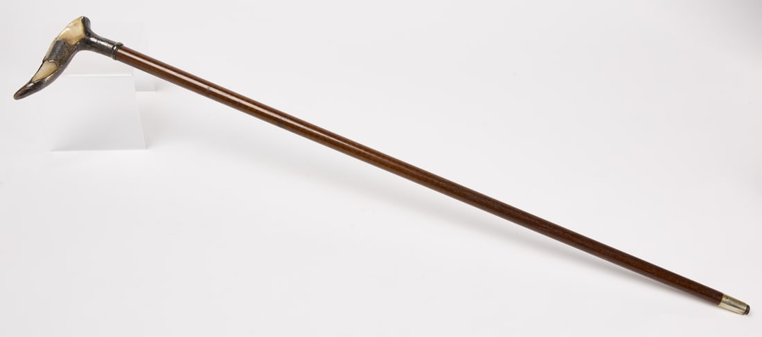 Walking Stick (1 of 3)