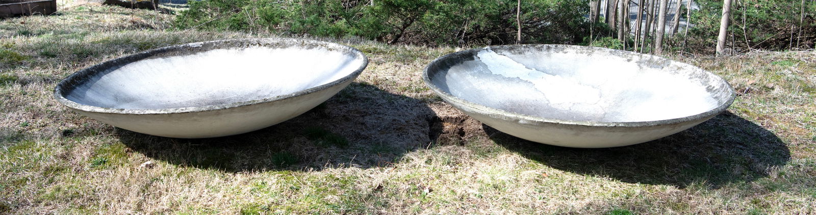 Extra Large Pair of Willy Guhl Saucer Planters (1 of 2)