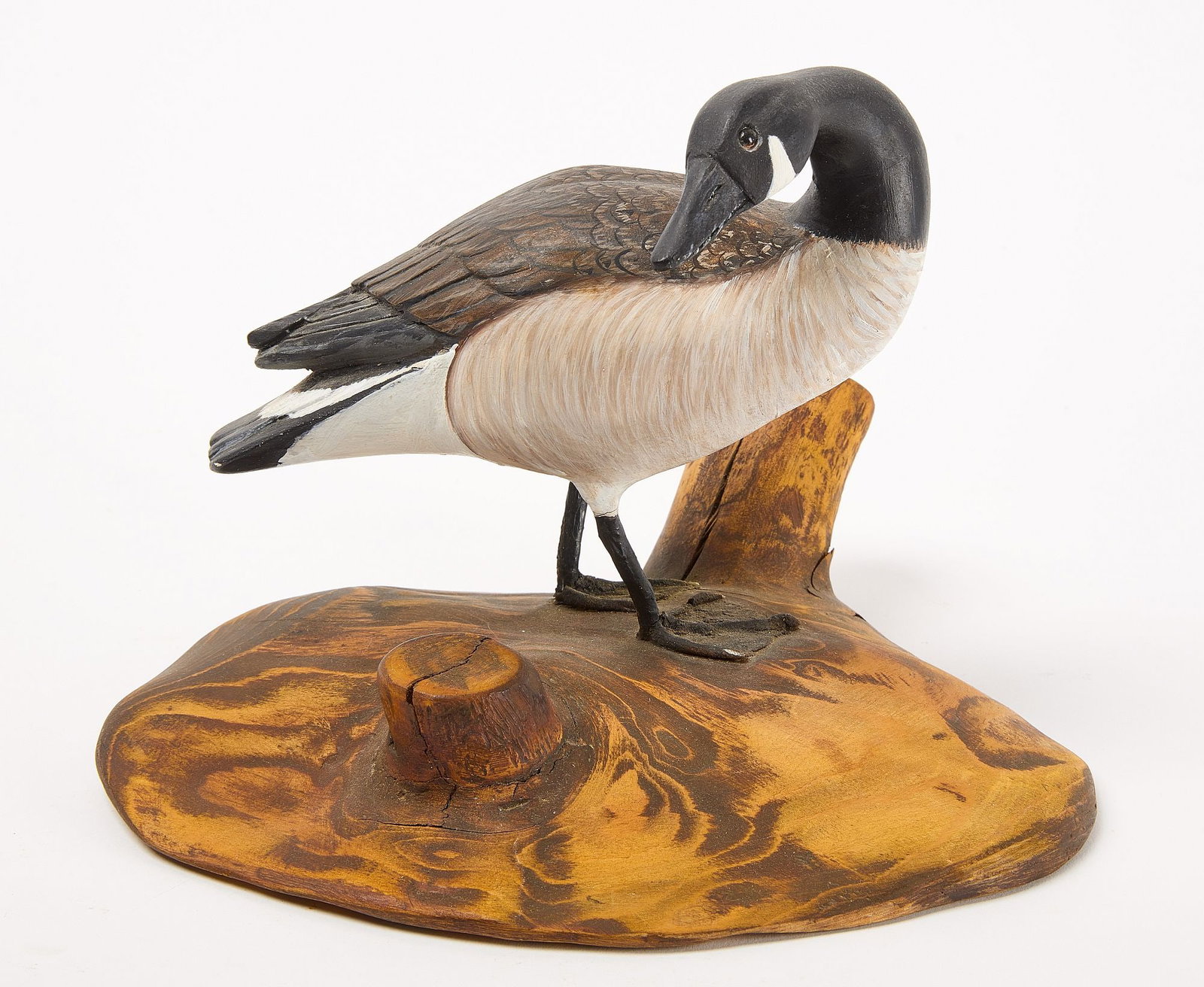 The Rubolinos - The Canada Goose (1 of 1)