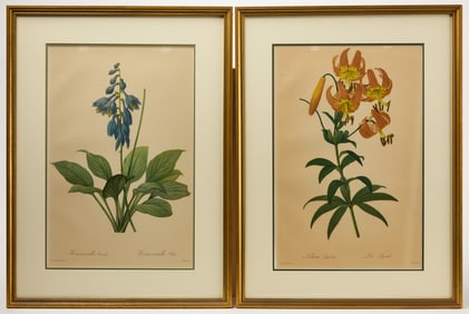 Pierre Joseph Redoute - Two Floral Prints