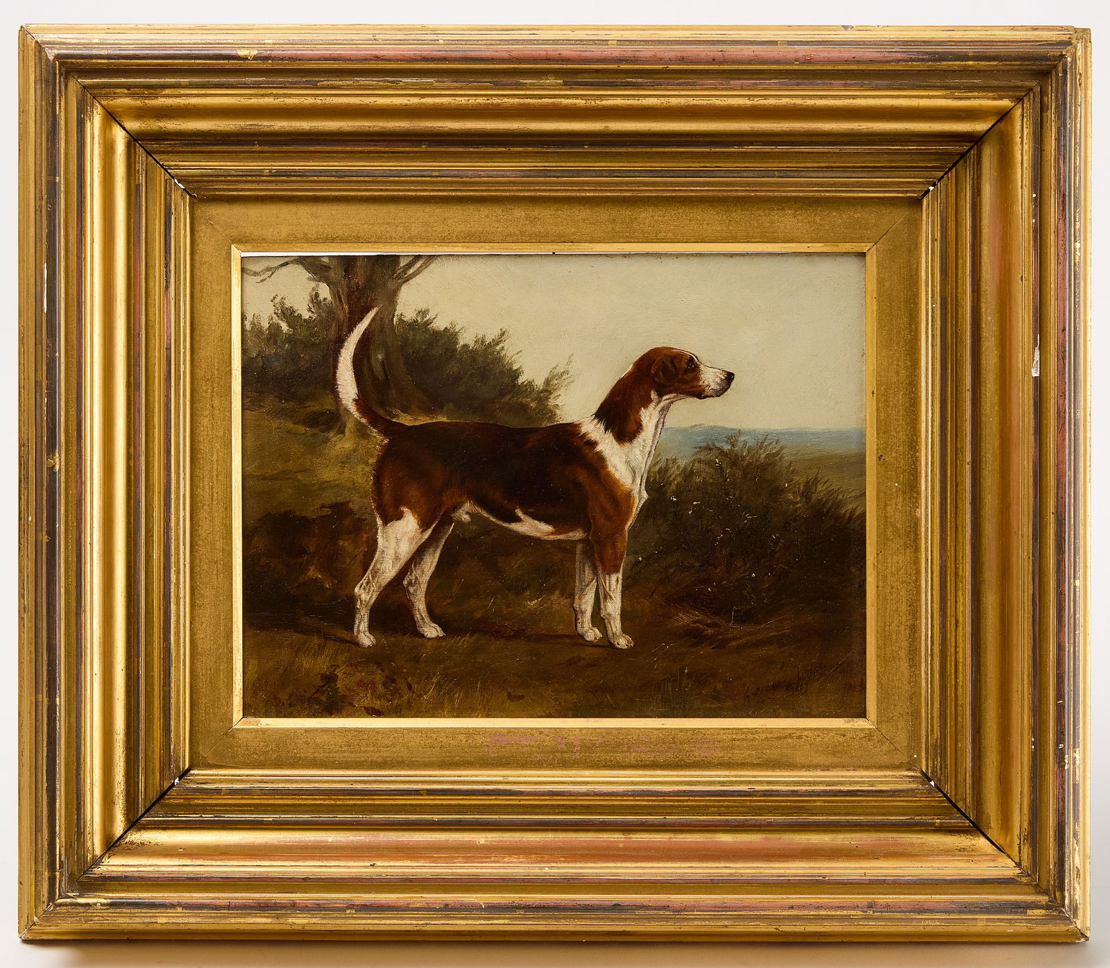 H. F. Lucas – Painting of a Foxhound (1 of 3)