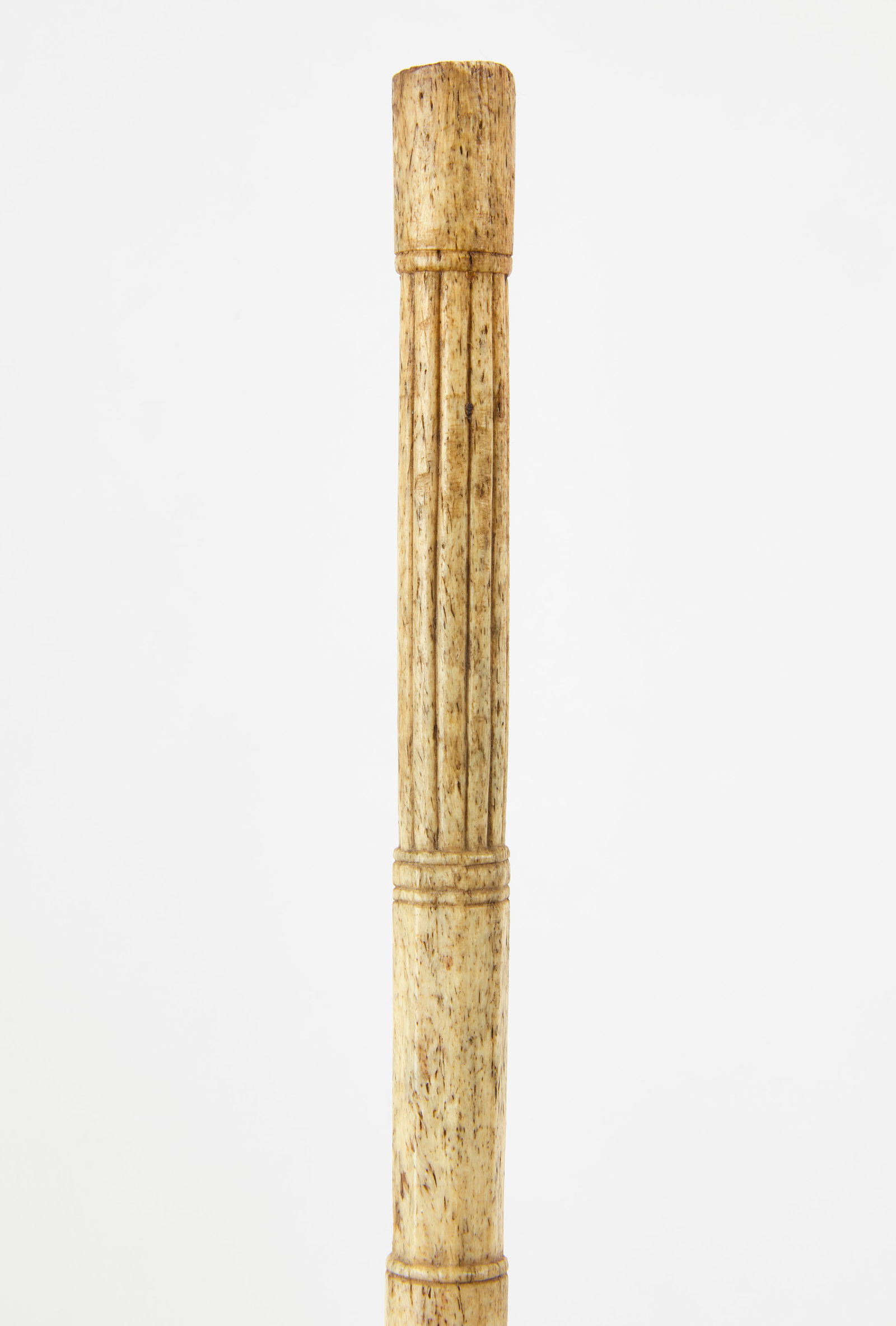 Whalebone Cane (1 of 3)