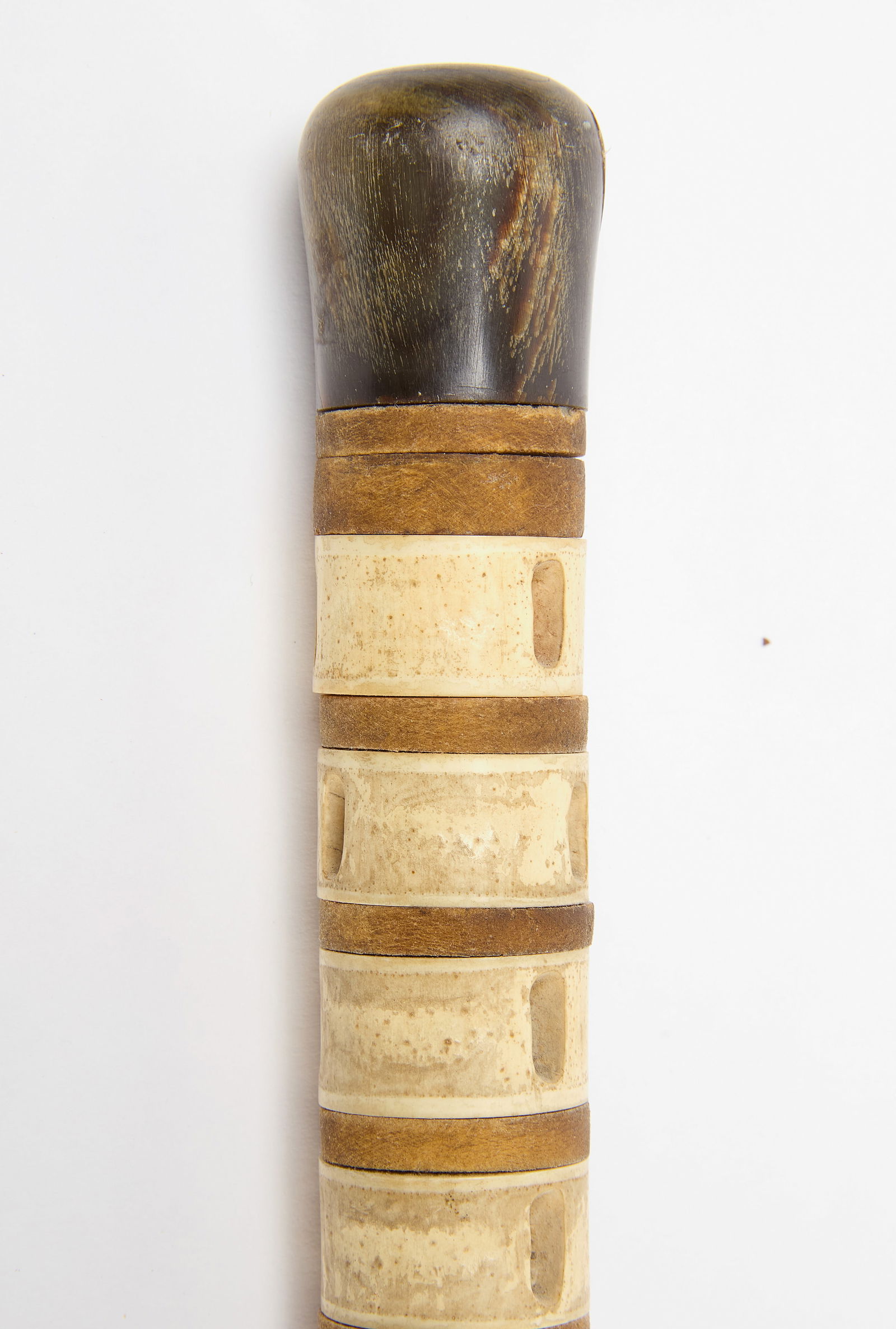 Shark Vertebrae Walking Stick (1 of 3)