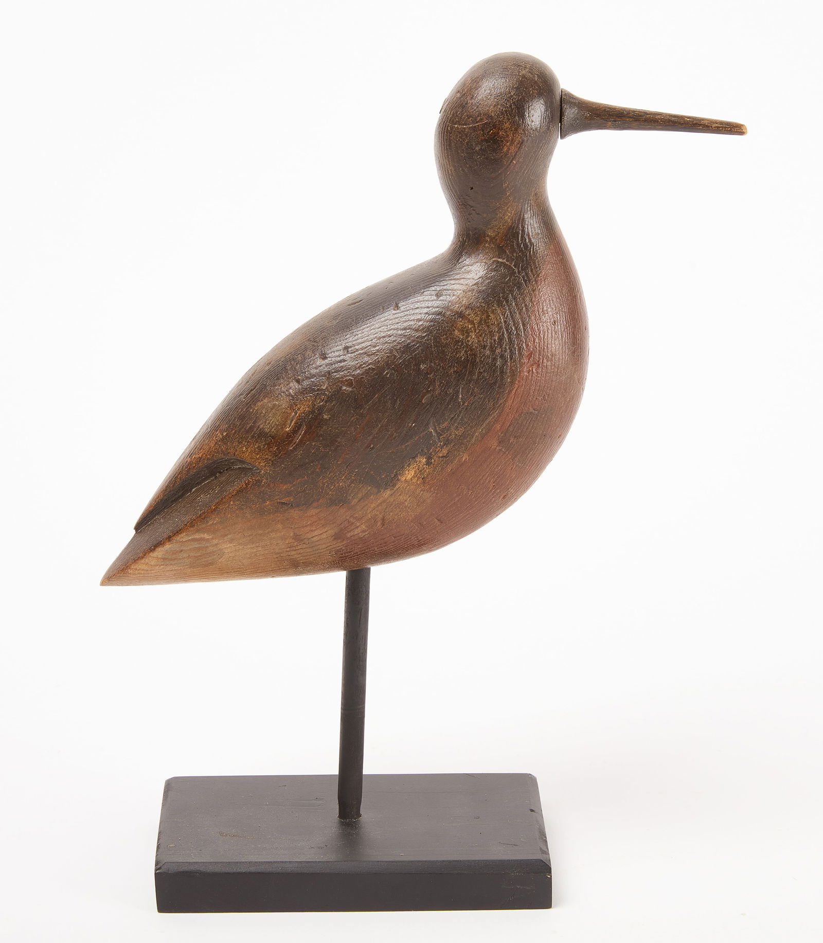 Robin Snipe Shorebird (1 of 5)