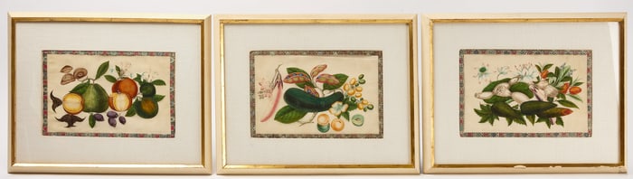 Three China Trade Botanical Paintings