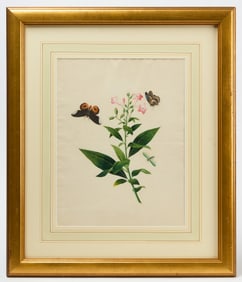 A Botanical Study with Butterflies and Insects