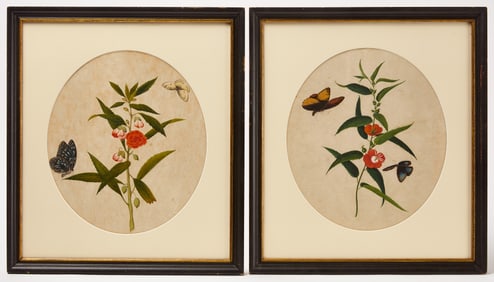 Pair of Botanical Studies with Butterflies