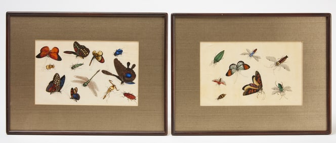 Youqua (fl. 1840-1870)- Pair of Paintings of Insects and Butterflies
