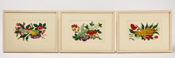 Youqua (fl. 1840-1870) – Three China Trade Botanical Paintings