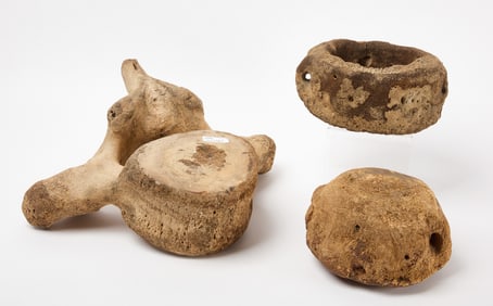 Whale Vertebrae Section, Bowl and Anchor