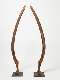 Pair of Whale Jaw Bones
