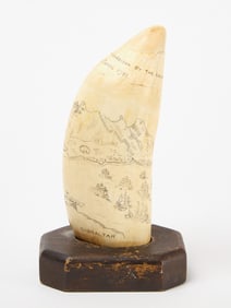 Scrimshaw Whale's Tooth- Gibraltar