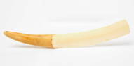 Eskimo-Made Tusk Snow Knife
