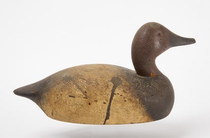 Canvas-Back Duck Decoy