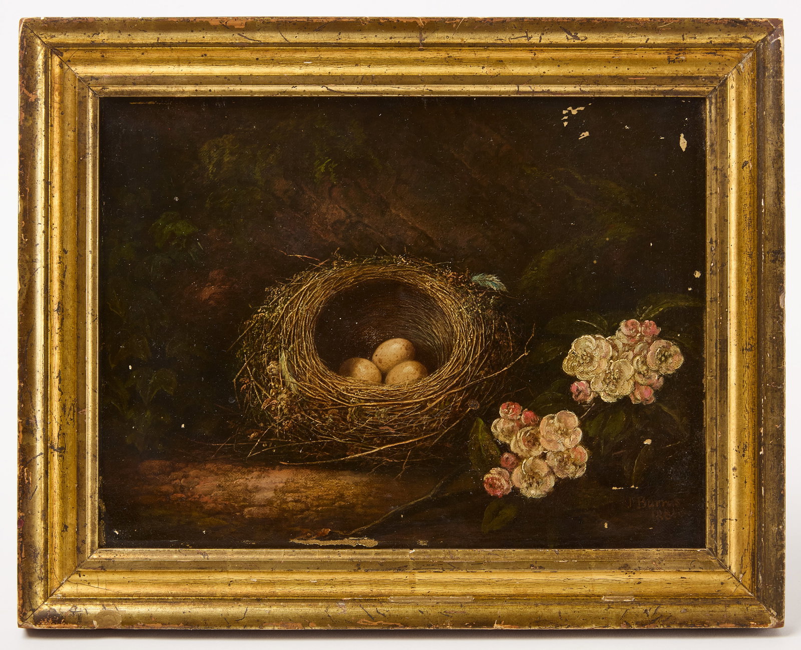 J. Burras - Birds Nest near Flowers: Birds nest with eggs near flowers. Oil on canvas. Signed lower right 'J. Burras, 1881'. In period gilt frame. Frame: H 11-1/2" W 14-1/2" Canvas: H 8-1/2" W 11-1/2". C