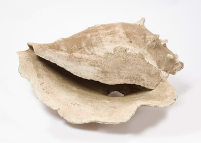 Oversized Conch Shell Garden Ornament