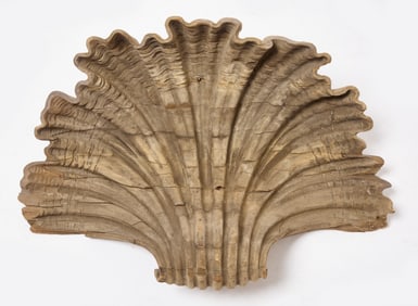Carved Architectural Element - Shell