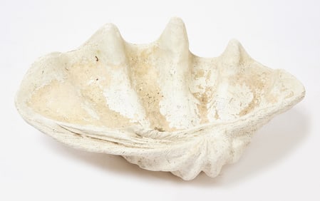 Faux Giant Sea Clamshell Planter