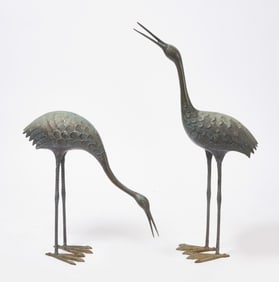 Pair of Bronze Egrets