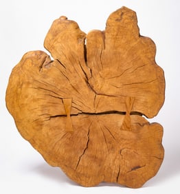 Massive Live Edge Slab Tabletop