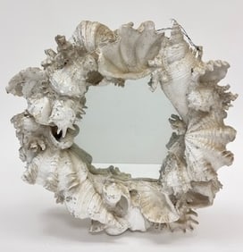Shell Mirror
