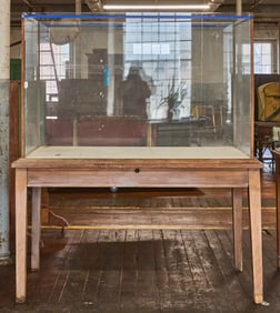Museum Display Case