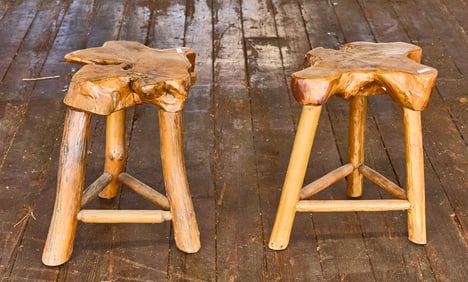 Pair of Live Edge Stools