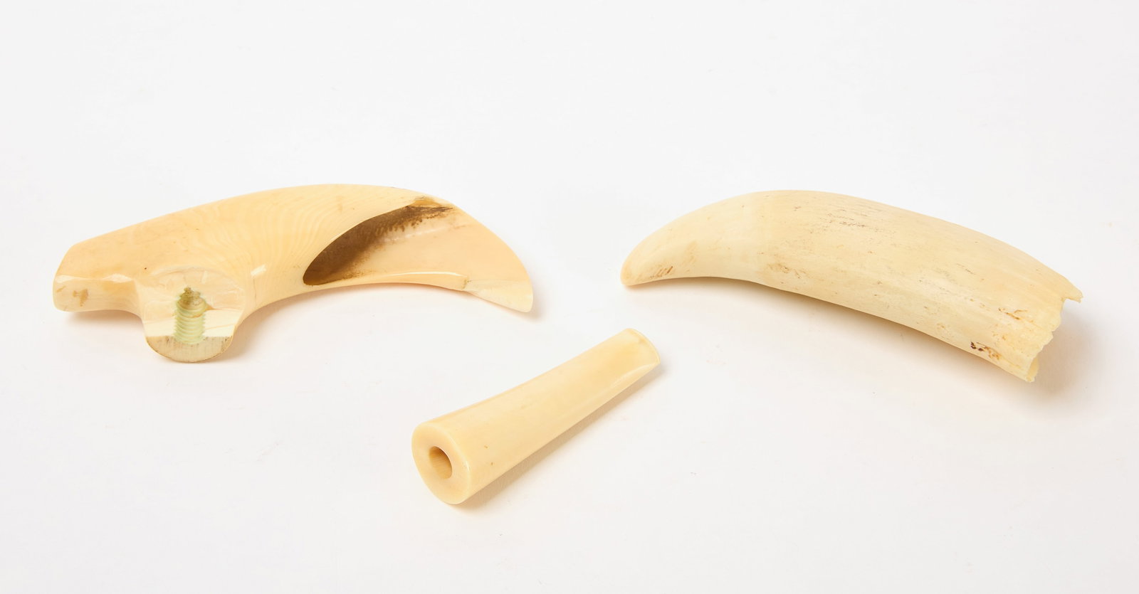 Sperm Whale Tooth, Cigarette Holder and Cane Handle: Three sperm whale tooth items. L 4-1/2 in. L 4-3/4 in. L 2-3/4in. Condition: Imperfections. Link for high-res images: https://www.dropbox.com/scl/fo/9gi2yjmpkv7gr73nzxo0q/AKeef0jjBgYuLyfRQhRnCAY?rlkey
