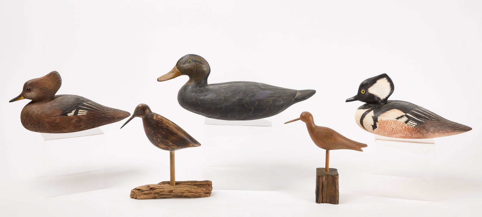 Five Decoys (1 of 1)