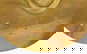 item-207662619=4