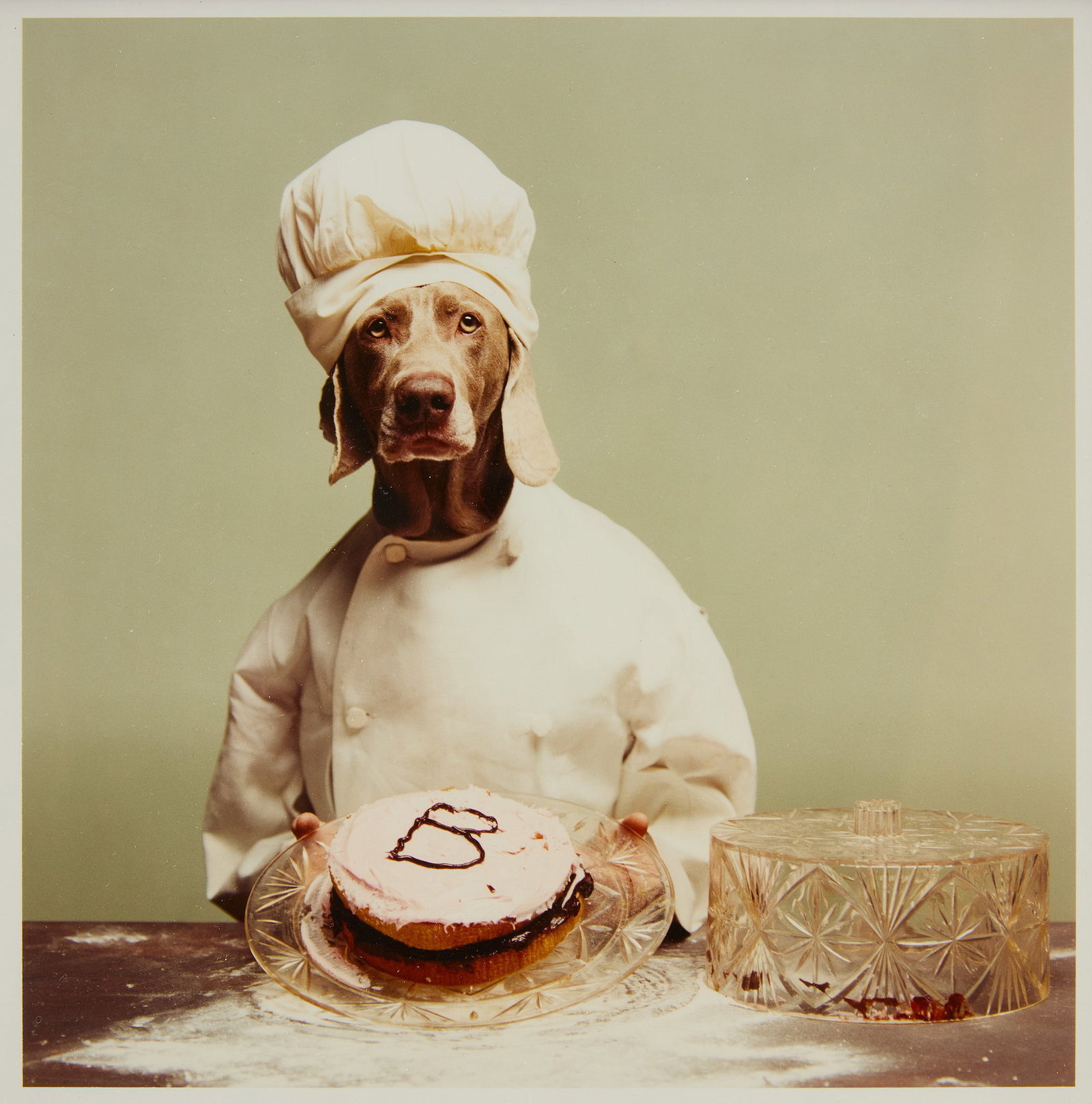 P. Wegman – B is for Baker Photograph (1 of 3)