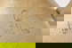 item-210216053=2